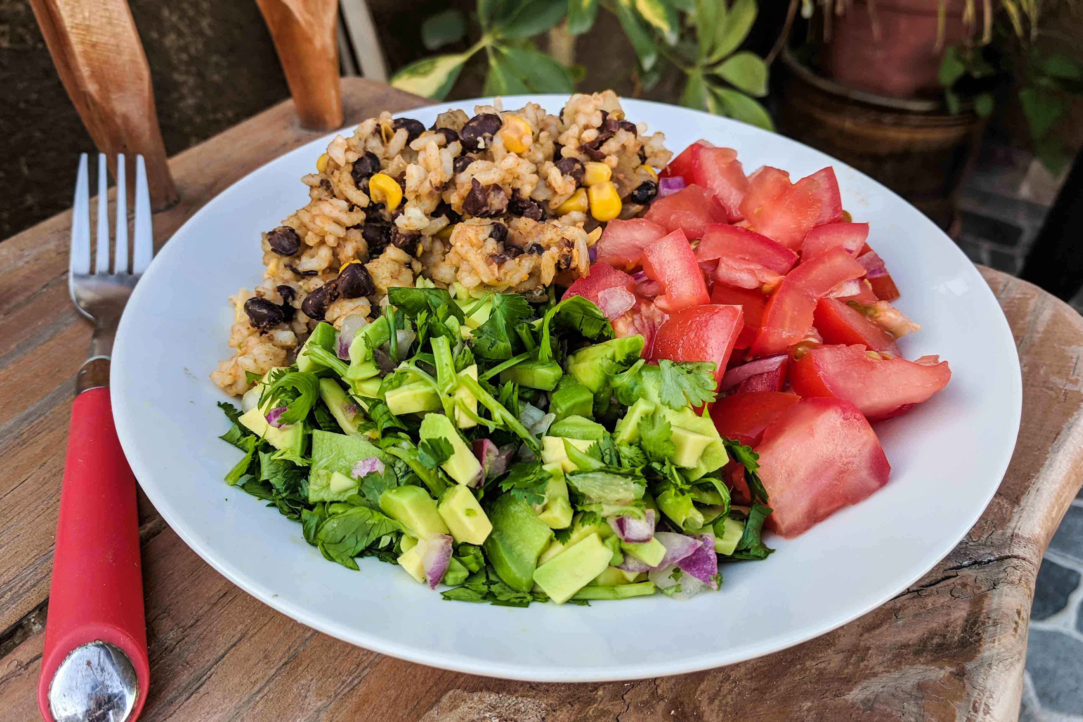 Black bean, rice and corn burrito bowl with fresh tomato, avocado and lime